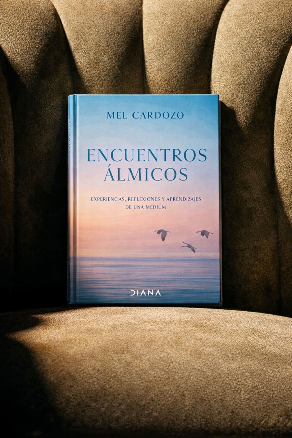 Libro encuentros almáticos
