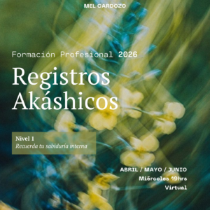 REGISTROS AKÁSHICOS - Nivel 1